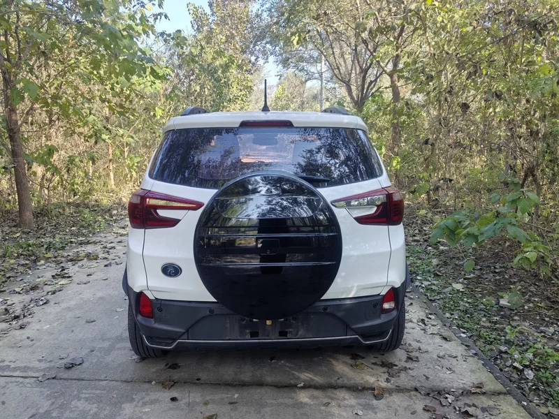 BYD Yuan New Energy 2018 car image #9