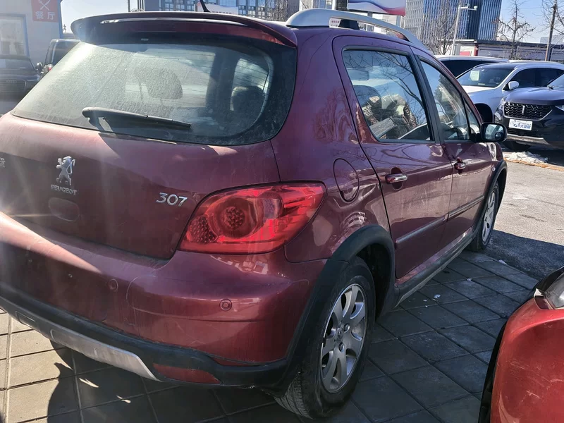 Peugeot 307 2012 car image #9