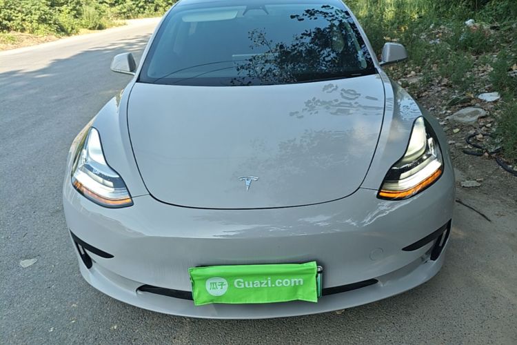 Tesla Model 3 2020 #3 Tesla Model 3 2020 car image #3