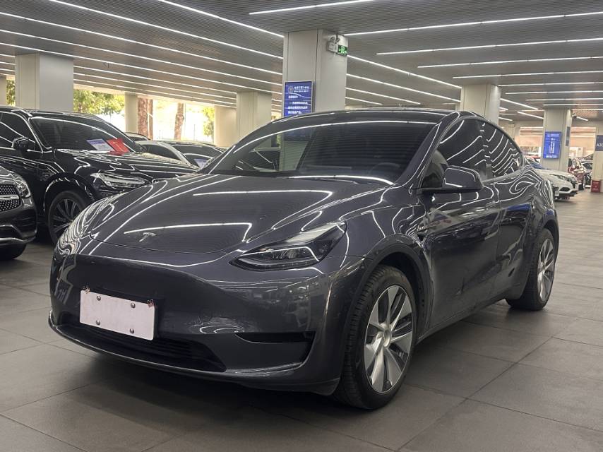 Tesla Model Y 2022 car image 