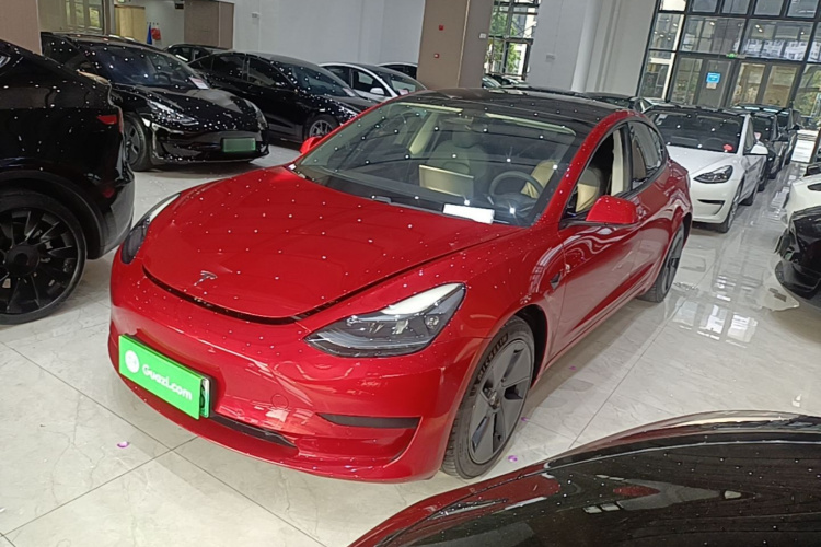 Tesla Model 3 2021 immagine di auto #2