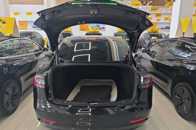 Tesla Model 3 2022 car image #19