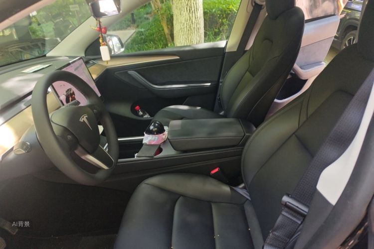 Tesla Model Y 2021 car image #17