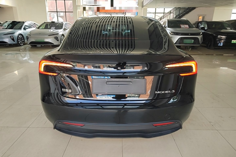 Tesla Model 3 2023 immagine di auto #6
