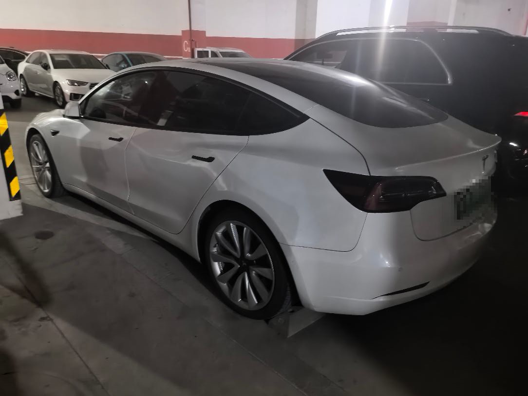 Tesla Model 3 2020 immagine di auto #5