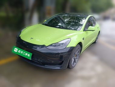 Tesla Model 3 2021 Tesla Model 3 2021 car image