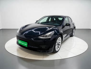 Tesla Model 3 2021 Tesla Model 3 2021 car image