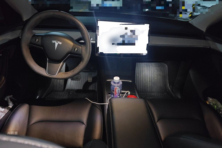 Tesla Model Y 2024 car image #11