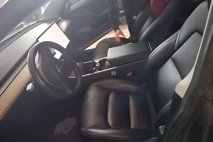 Tesla Model 3 2020 car image #15