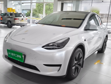 Tesla Model Y 2023 Tesla Model Y 2023 car image