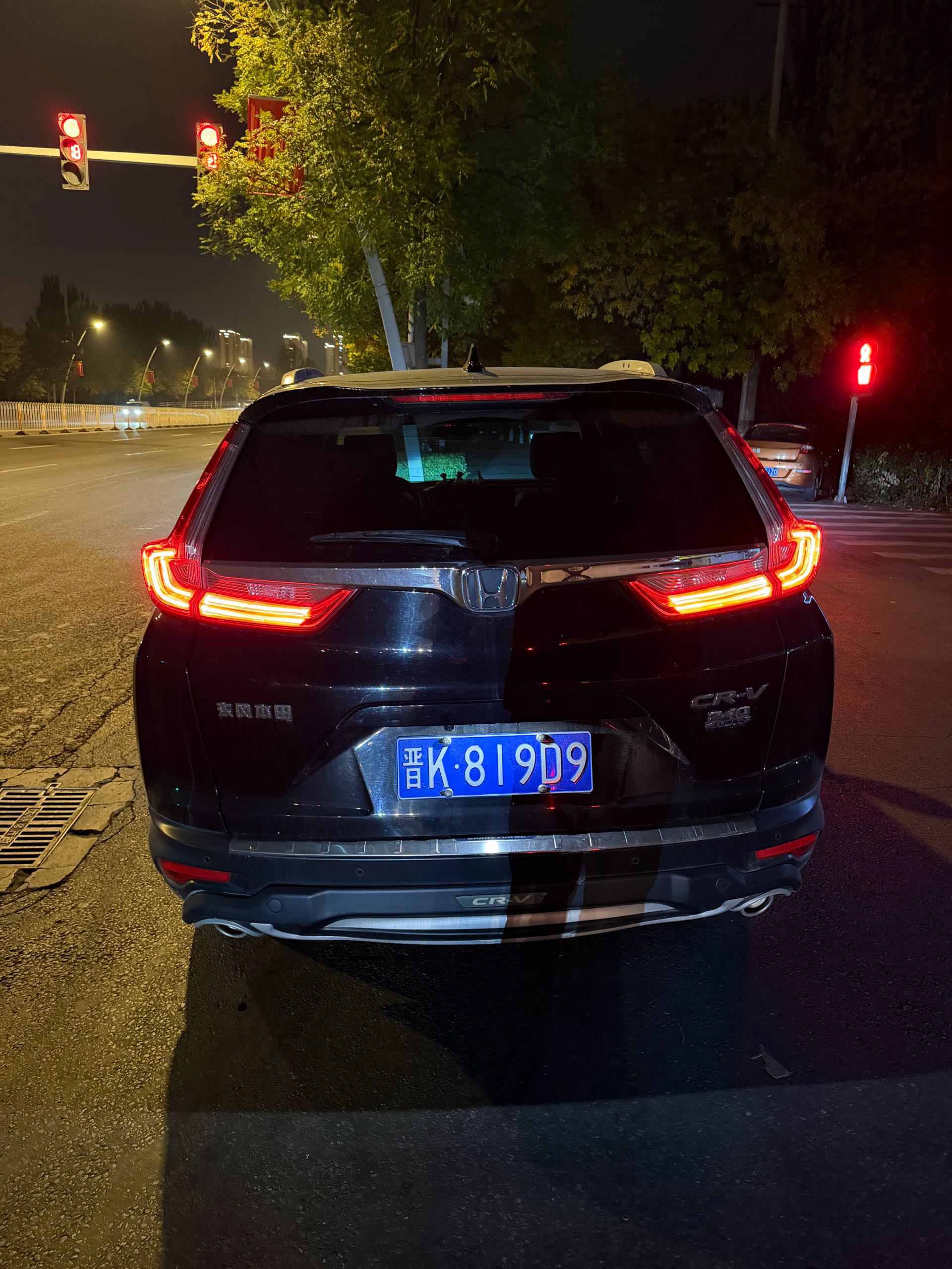 2019 immagine di auto #8