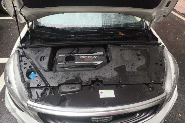 GEELY Emgrand GS 2020 car image #22