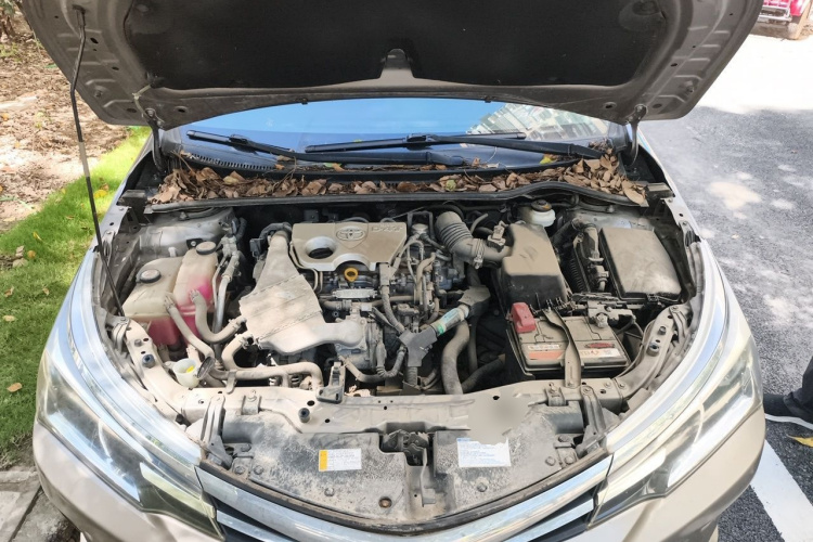 Toyota Corolla 2017 #18 Toyota Corolla 2017 car image #18