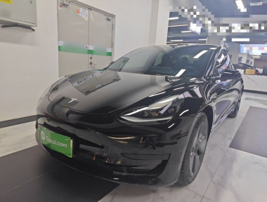 Tesla Model 3 2021 car image 