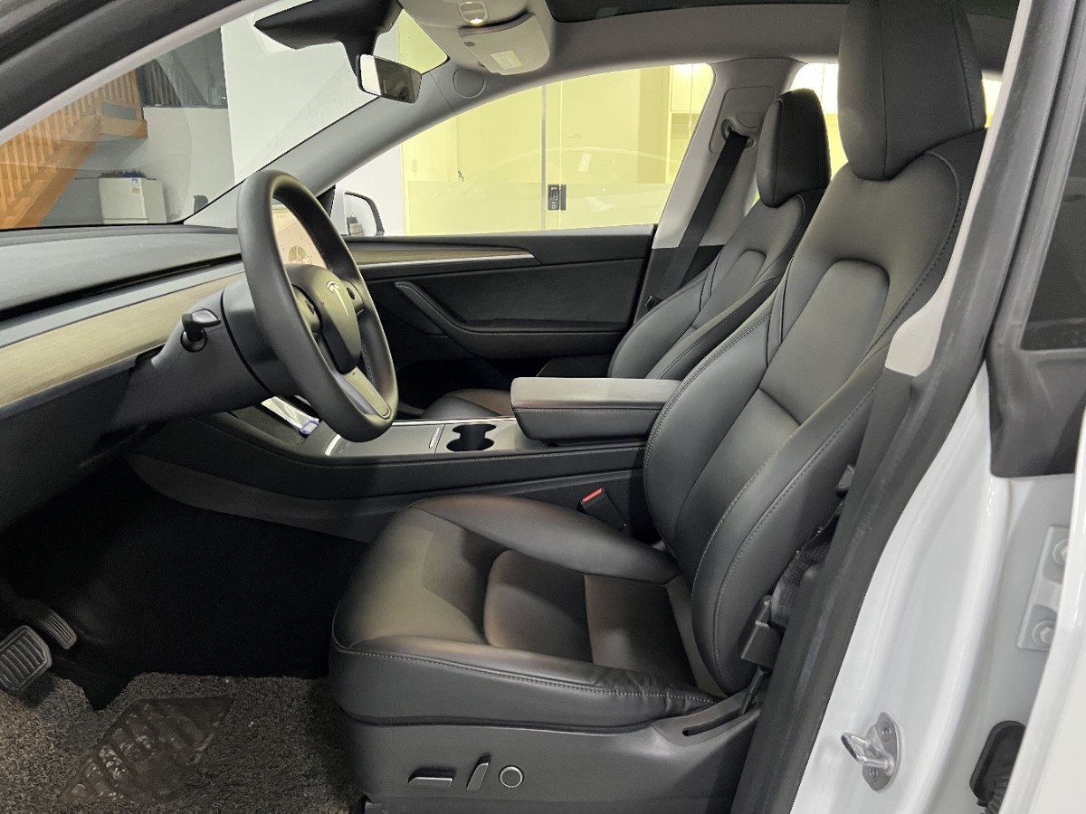Tesla Model Y 2023 car image #6