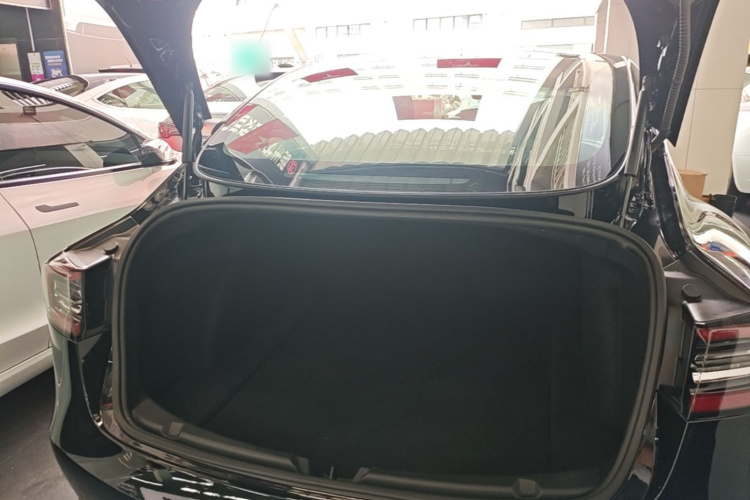 Tesla Model 3 2020 car image #19