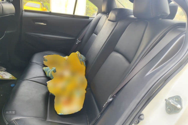 Toyota Corolla 2019 #19 Toyota Corolla 2019 car image #19