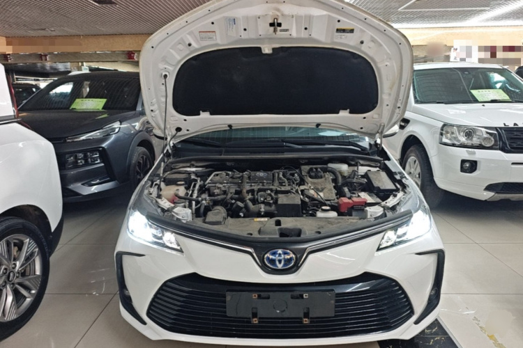 Toyota Corolla 2022 #20 Toyota Corolla 2022 car image #20