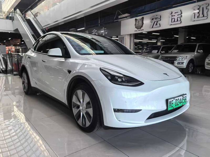 Tesla Model Y 2021 car image #3