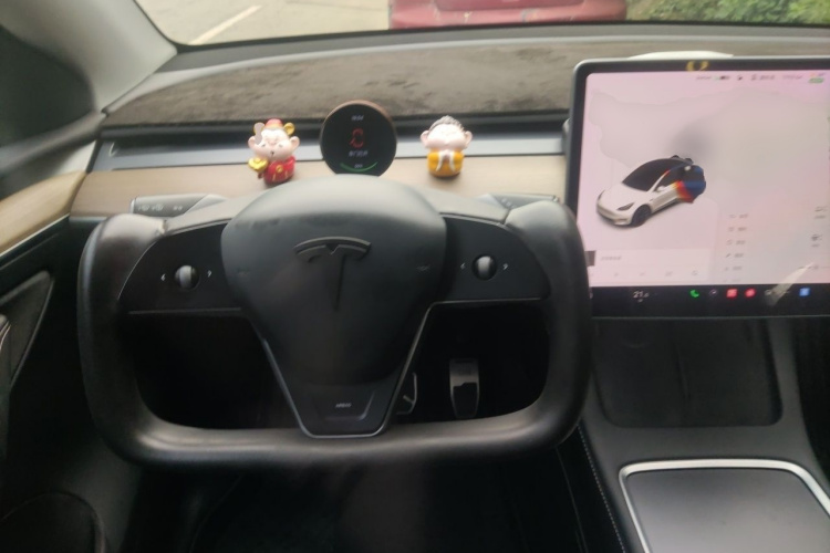 Tesla Model Y 2021 car image #15