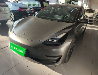 Tesla Model 3 2023 immagine di auto 