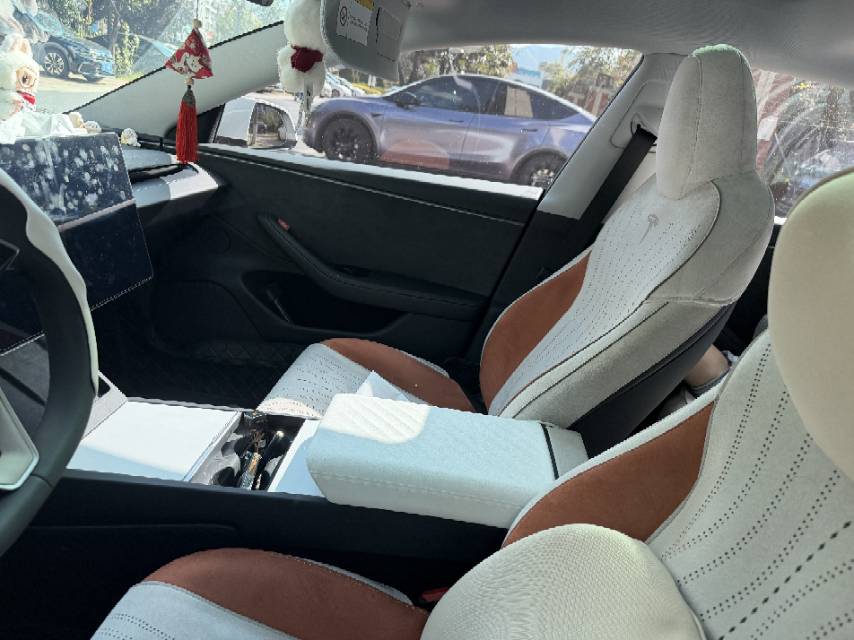 Tesla Model 3 2025 #4 Tesla Model 3 2025 immagine di auto #4