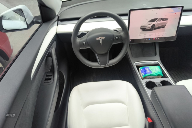 Tesla Model Y 2023 car image #12