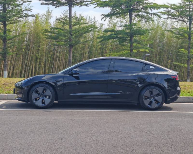 Tesla Model 3 2022 #7 Tesla Model 3 2022 car image #7