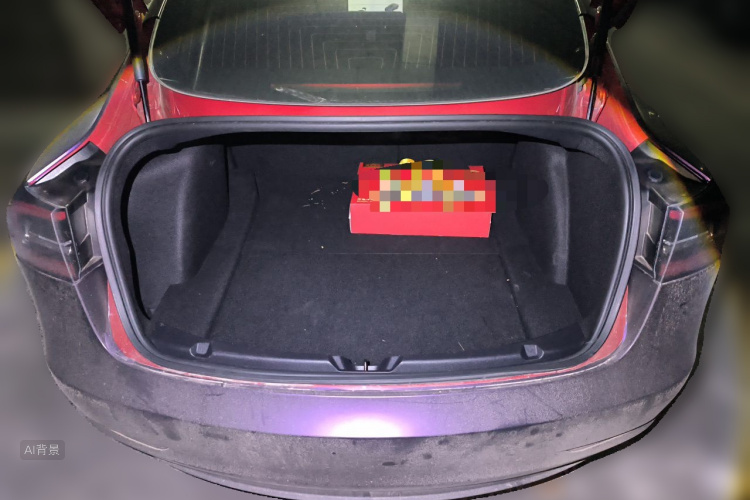Tesla Model 3 2020 #21 Tesla Model 3 2020 car image #21