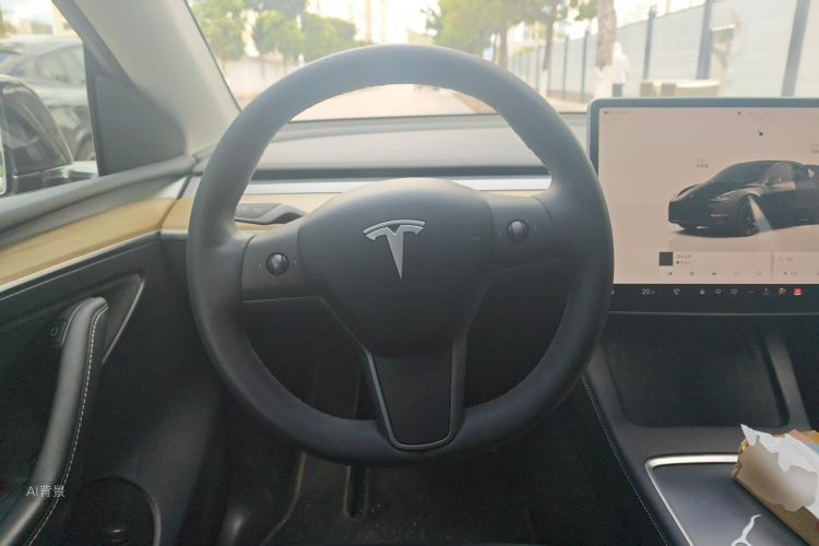 Tesla Model Y 2023 car image #12