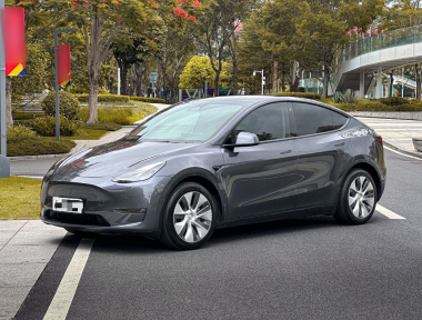 Tesla Model Y 2021 car image 