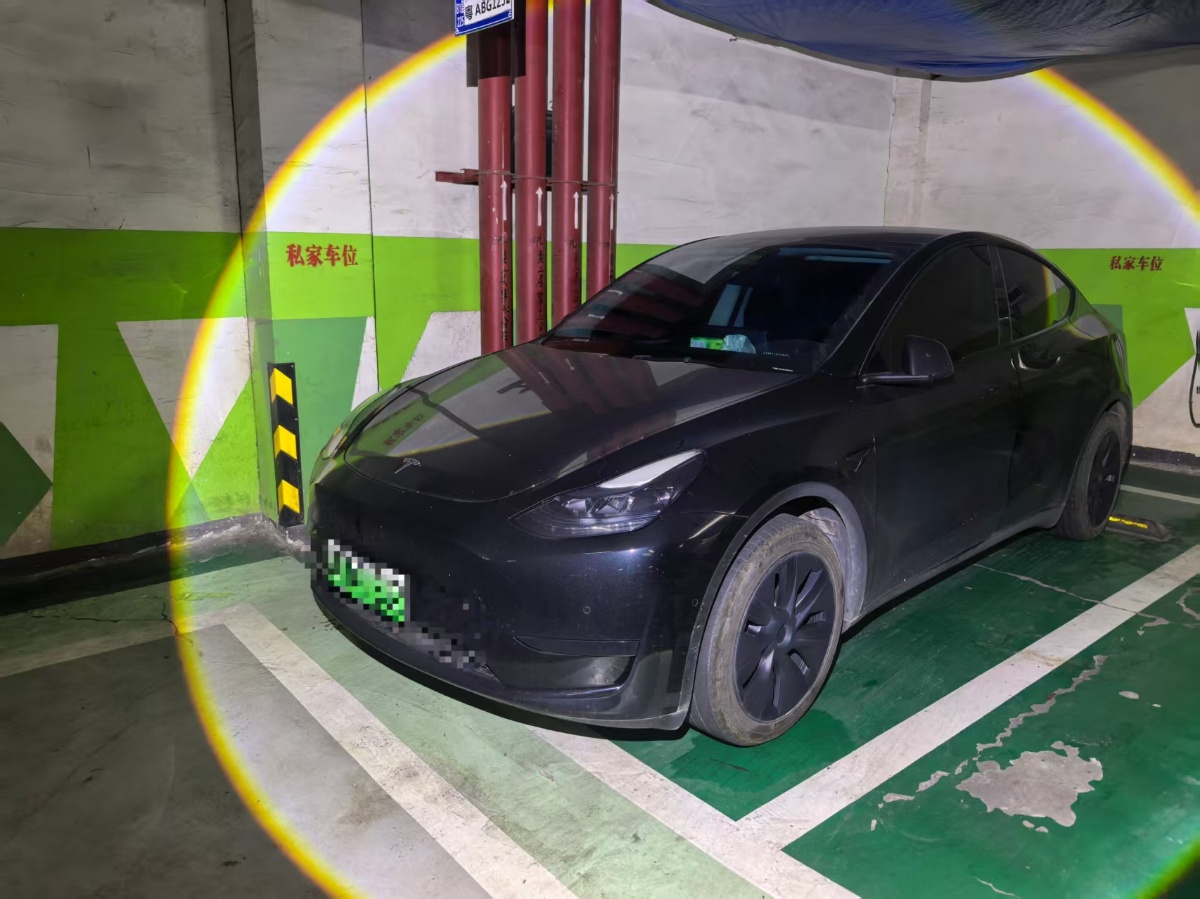 Tesla Model Y 2024 Tesla Model Y 2024 immagine di auto