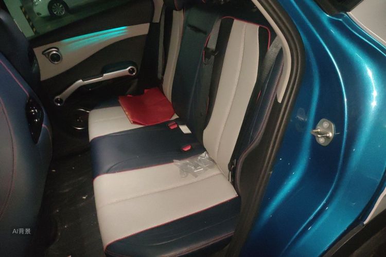 BYD Yuan Plus 2022 car image #19
