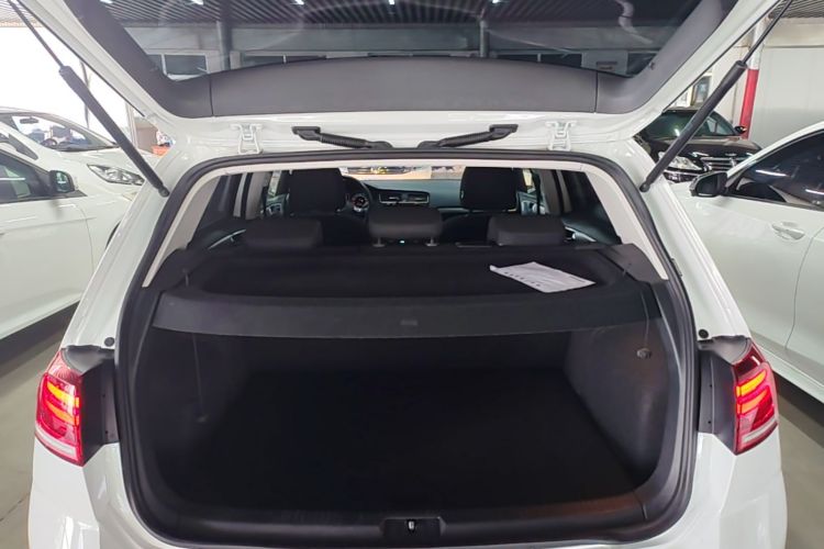 Volkswagen Golf 2019 car image #19