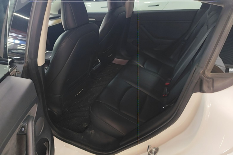 Tesla Model 3 2021 #17 Tesla Model 3 2021 car image #17