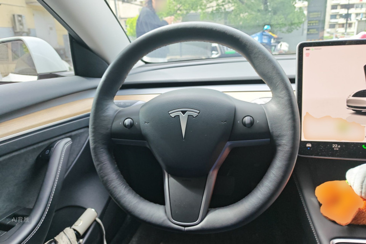 Tesla Model 3 2022 #12 Tesla Model 3 2022 car image #12