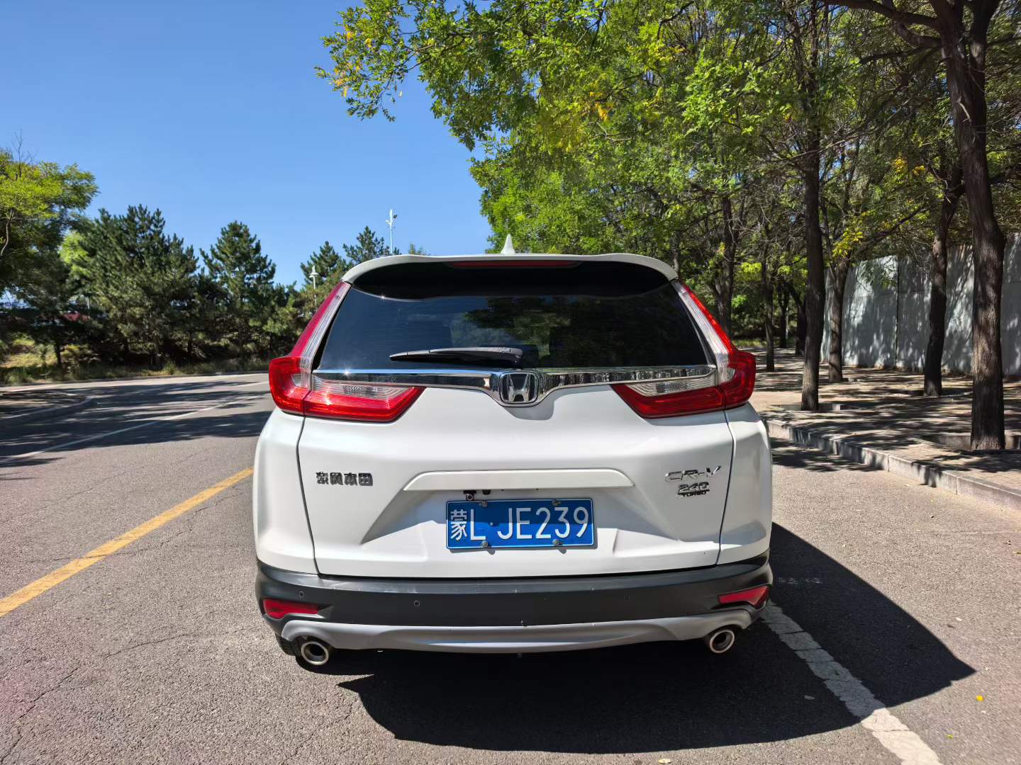 Honda CR-V 2019 #6 Honda CR-V 2019 car image #6