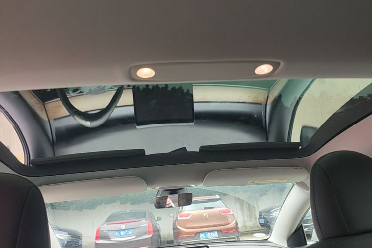 Tesla Model 3 2021 car image #18