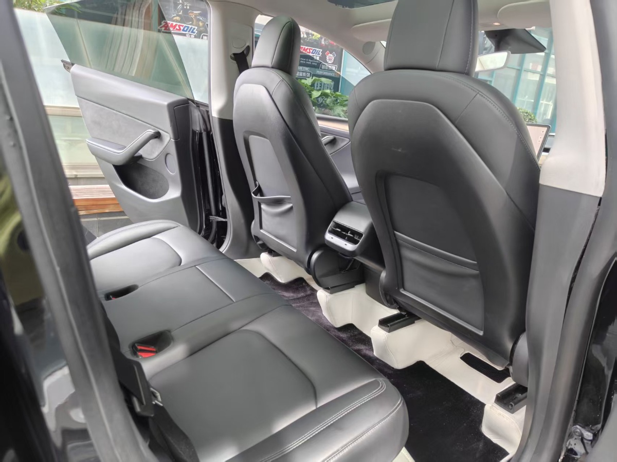 Tesla Model Y 2021 car image #6