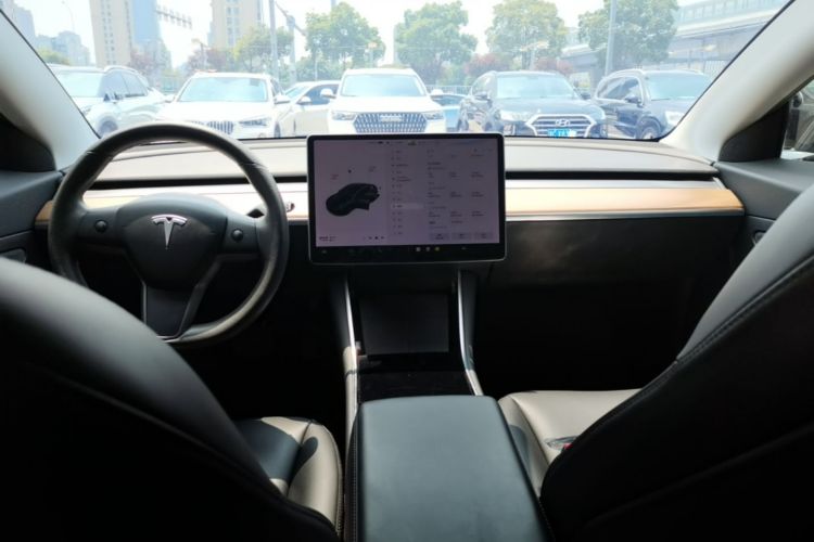 Tesla Model 3 2020 car image #11
