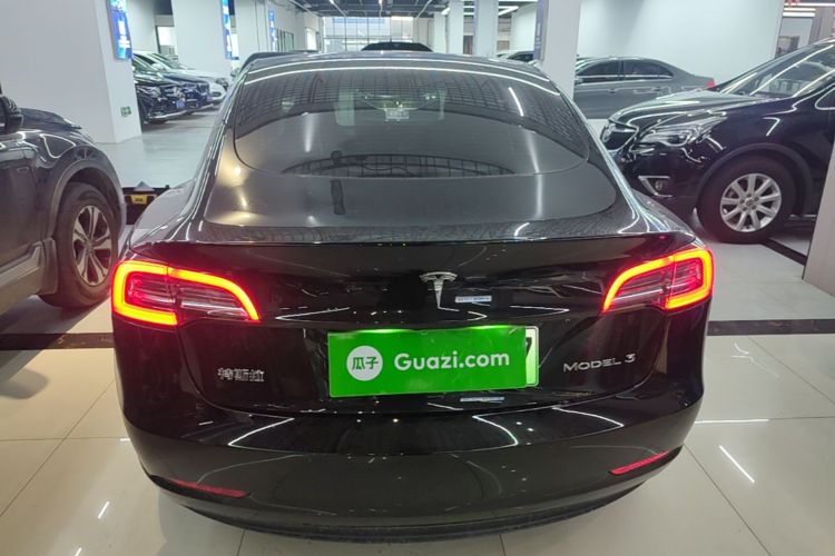 Tesla Model 3 2021 #6 Tesla Model 3 2021 car image #6