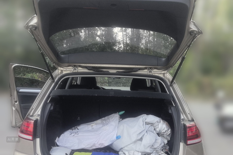 Volkswagen Golf 2019 car image #21