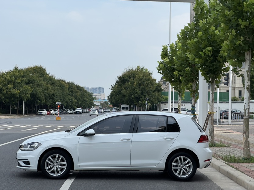 Volkswagen Golf 2019 #3 Volkswagen Golf 2019 car image #3