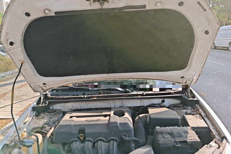 GEELY Emgrand 2018 car image #22