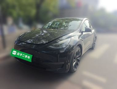 Tesla Model Y 2022 car image 
