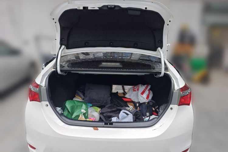 Toyota Corolla 2019 car image #17