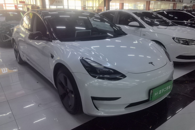 Tesla Model 3 2022 car image #4