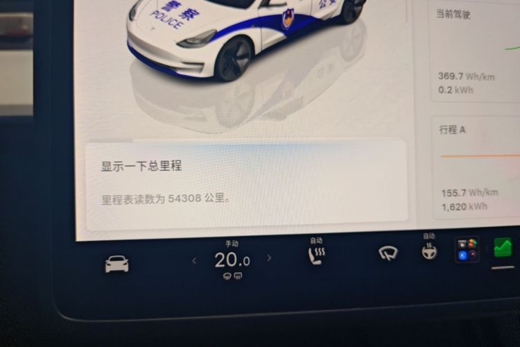 Tesla Model 3 2022 imagem de carro #12