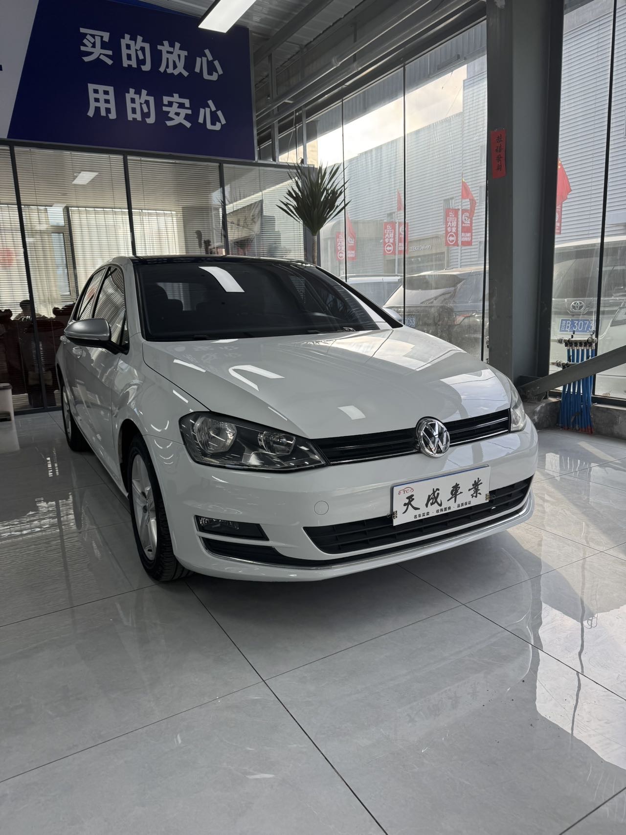 Volkswagen Golf 2016 imagen de coche #2