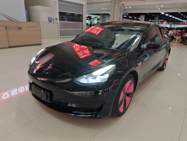 Tesla Model 3 2021 Tesla Model 3 2021 immagine di auto